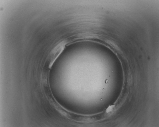 X0000062931273200601202018