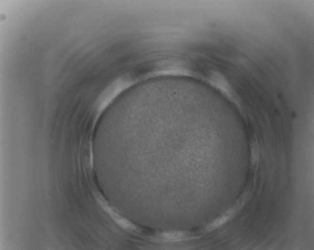 X0000062931274200601202017