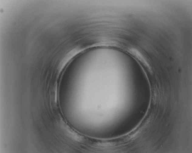 X0000062931276200601202017