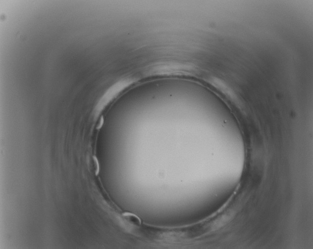 X0000062931277200601202017