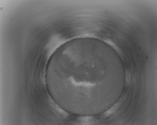 X0000062931278200601202017