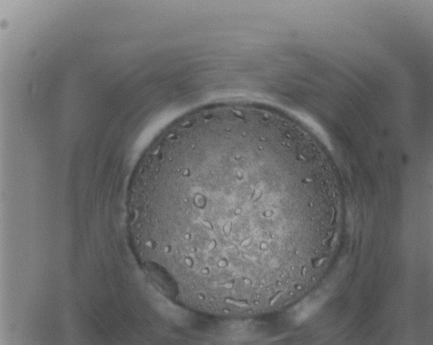 X0000062931279200601202017