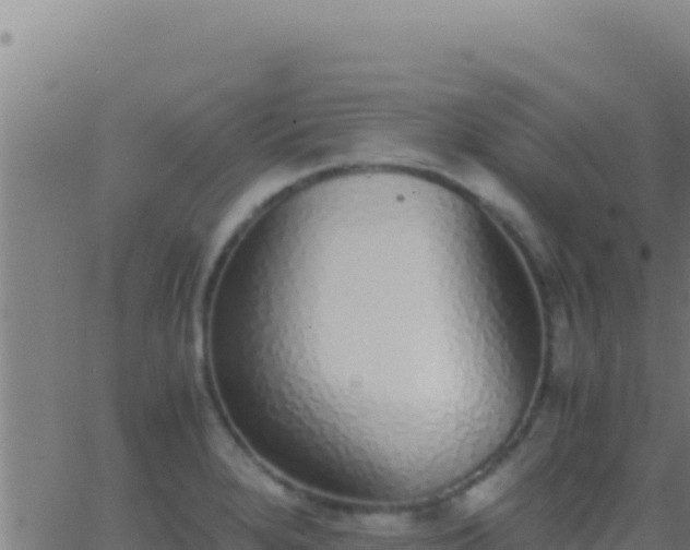 X0000062931280200601202017