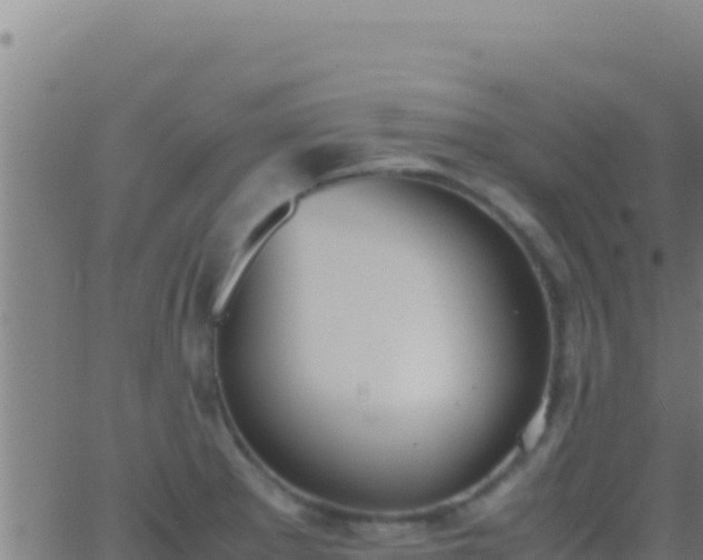 X0000062931281200601202017