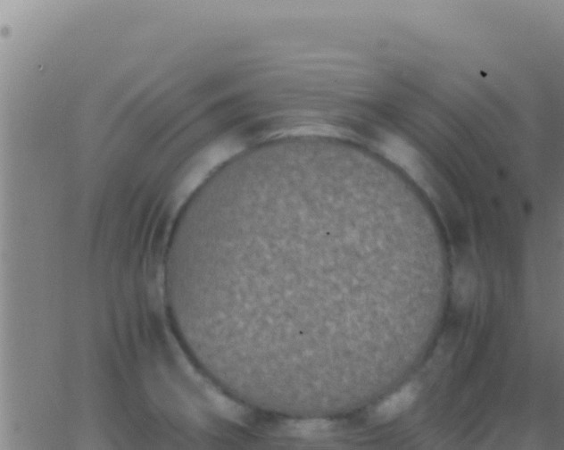 X0000062931282200601202017