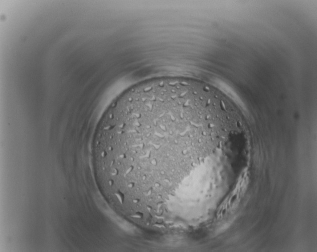 X0000062931283200601202017