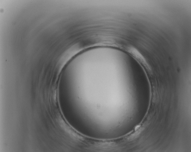 X0000062931284200601202017