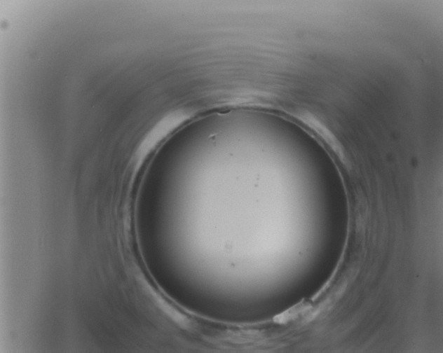 X0000062931285200601202017