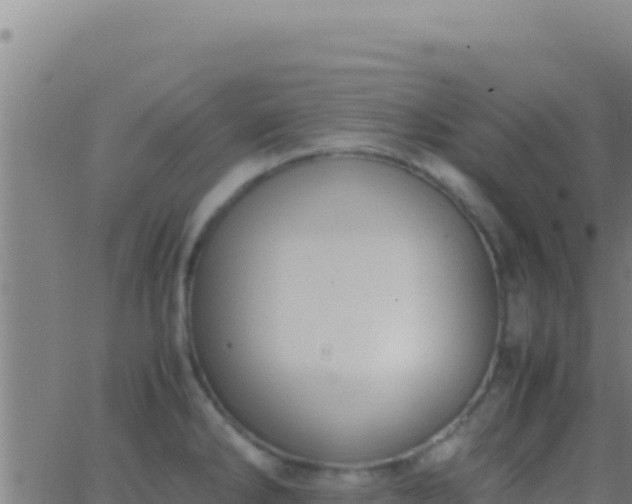 X0000062931286200601202017