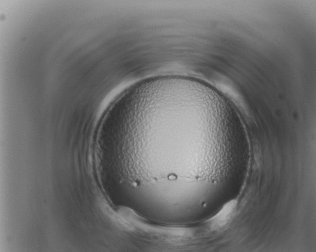 X0000062931288200601202017