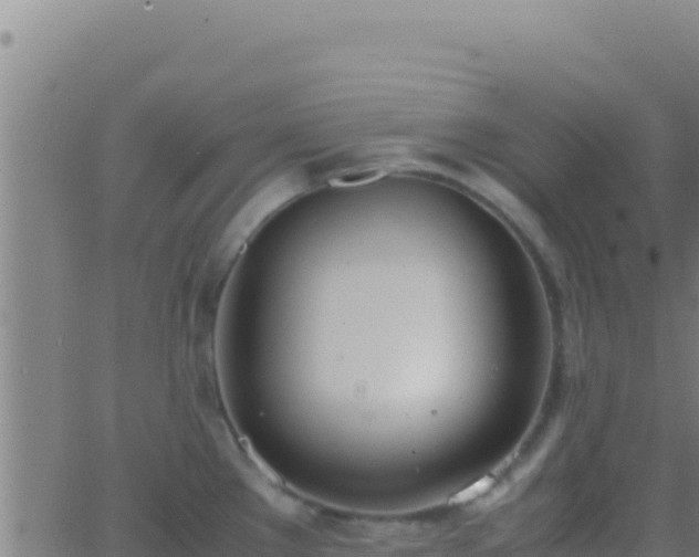 X0000062931289200601202017