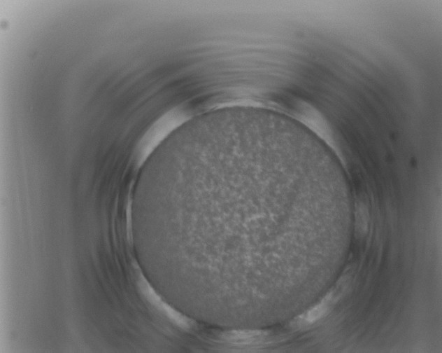 X0000062931290200601202017