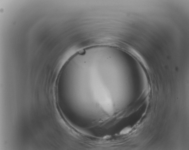 X0000062931291200601202017