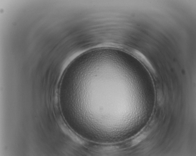 X0000062931292200601202017