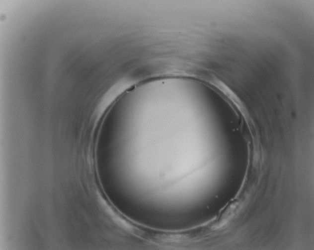 X0000062931293200601202017