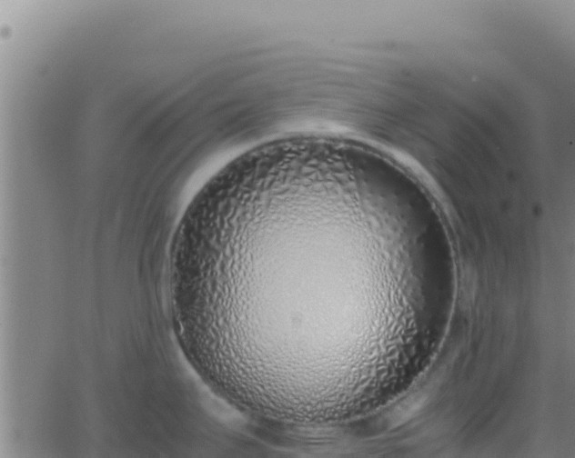 X0000062931295200601202017