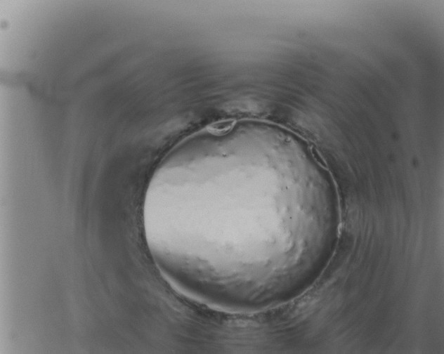 X0000062931297200601202016