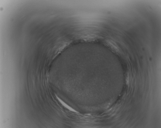 X0000062931298200601202016