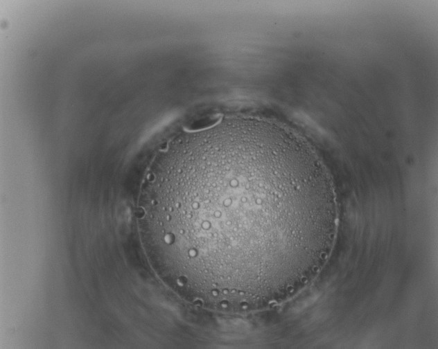 X0000062931302200601202016