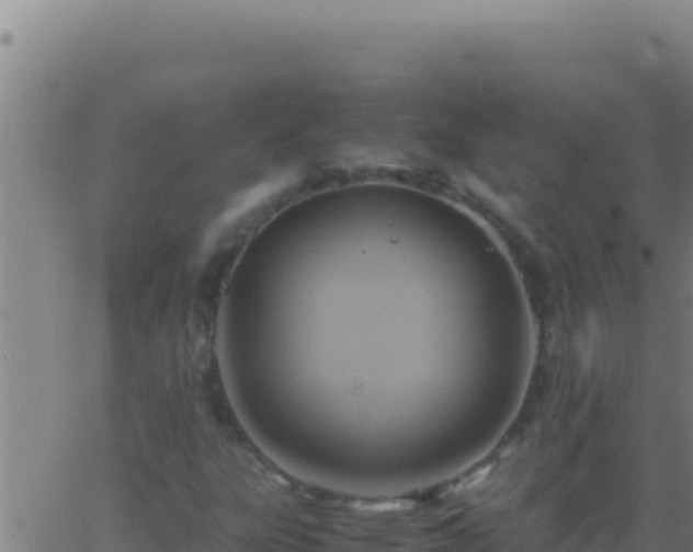 X0000062931303200601202016