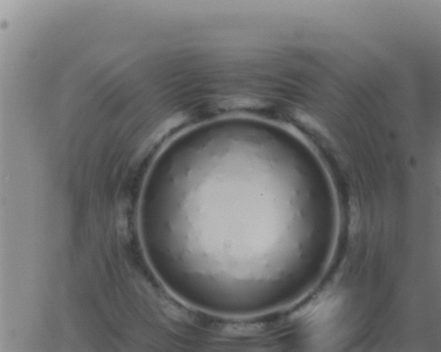 X0000062931305200601202016