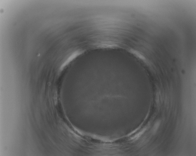 X0000062931306200601202016