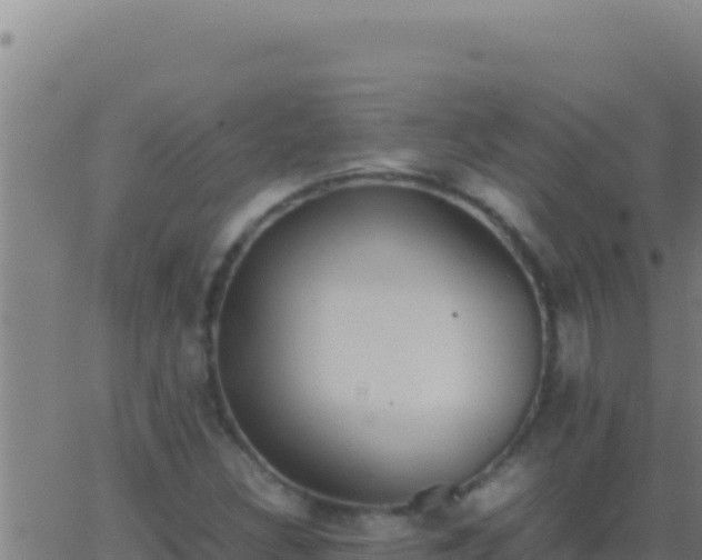 X0000062931308200601202017