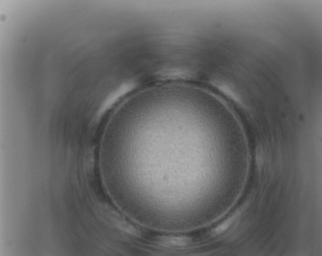 X0000062931309200601202017