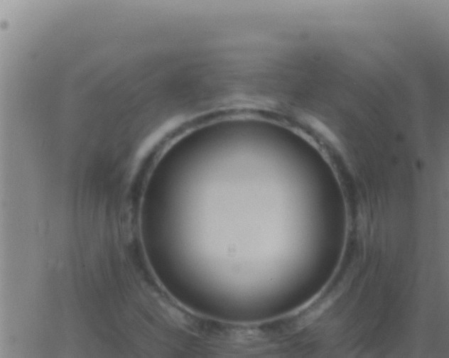 X0000062931310200601202017