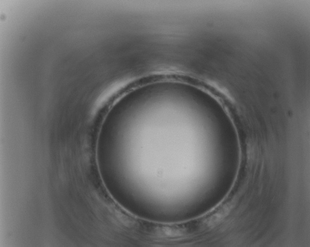 X0000062931311200601202017