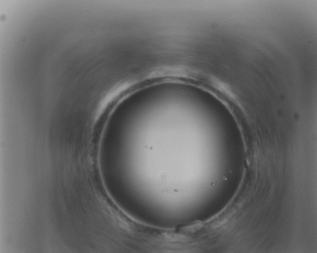 X0000062931312200601202017