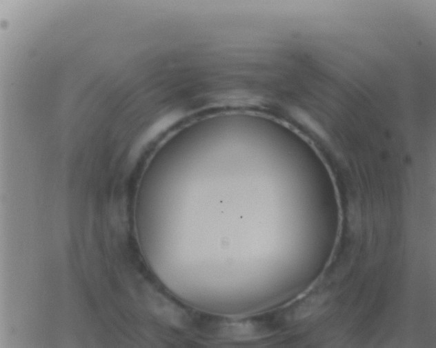 X0000062931315200601202017