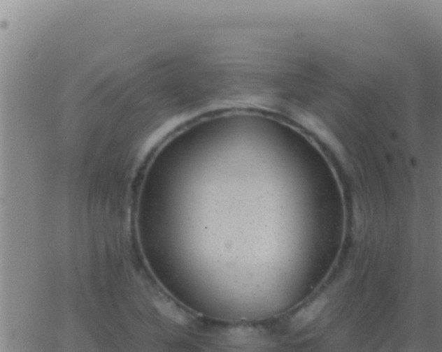 X0000062931316200601202017