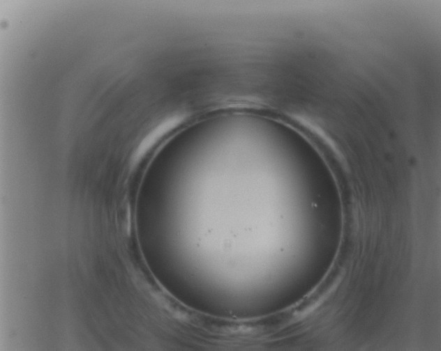 X0000062931317200601202017