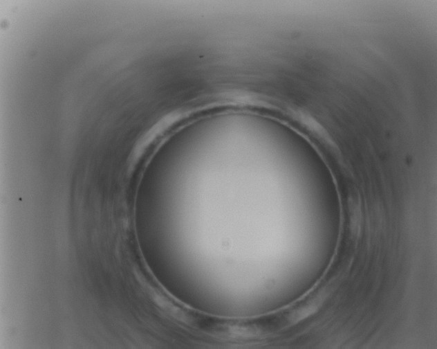 X0000062931318200601202017