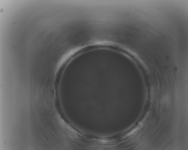 X0000062931319200601202017