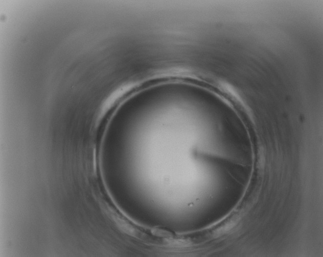 X0000062931320200601202017