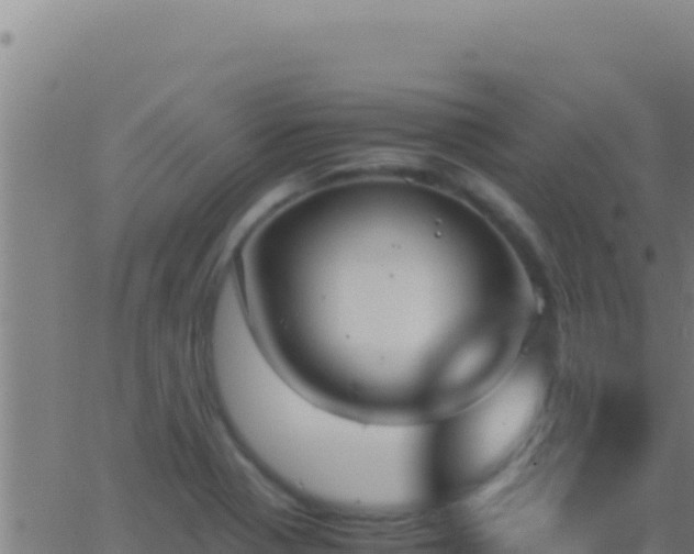 X0000062931321200601202017