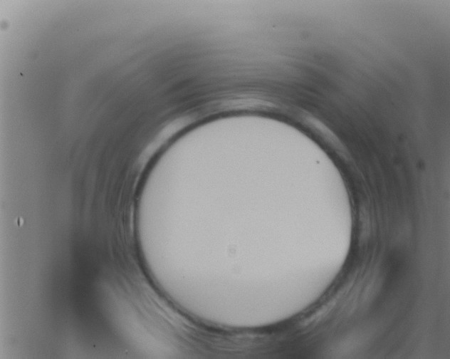 X0000062931322200601202017