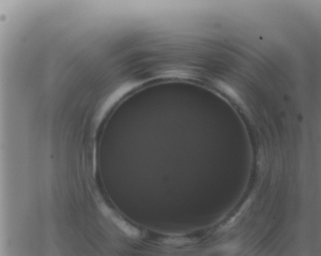 X0000062931323200601202017