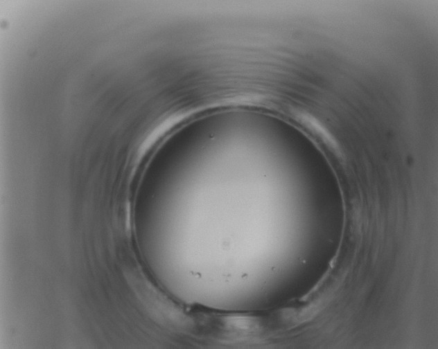 X0000062931324200601202017