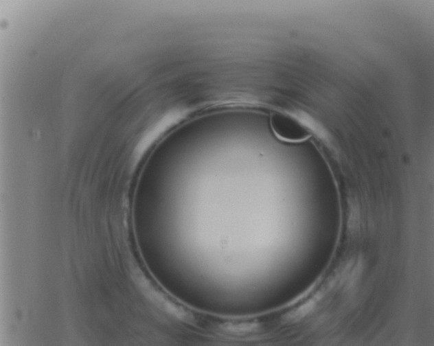 X0000062931325200601202017