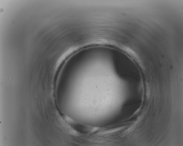 X0000062931326200601202017