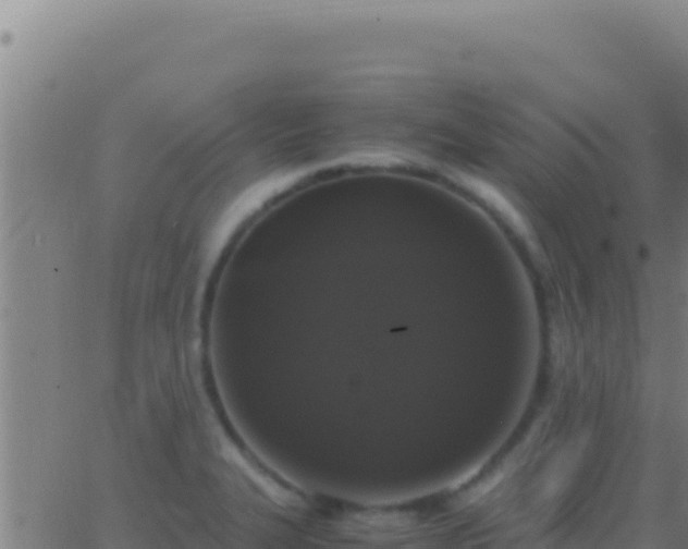 X0000062931327200601202017