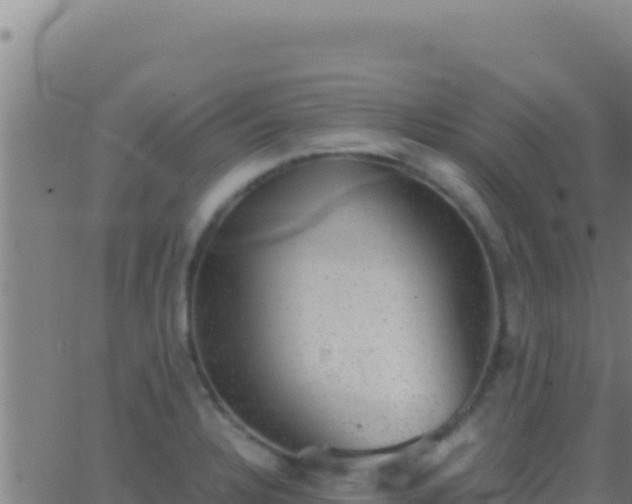 X0000062931328200601202017