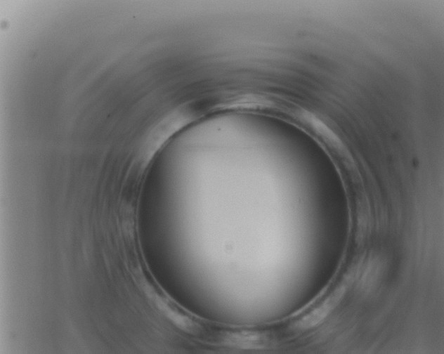 X0000062931329200601202017