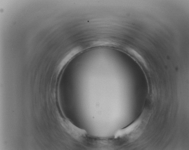 X0000062931330200601202017