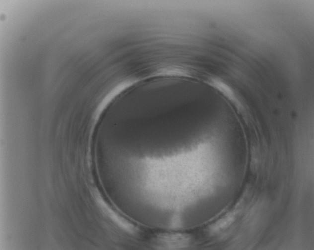 X0000062931331200601202017