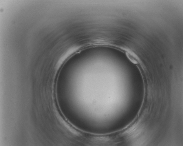 X0000062931333200601202017