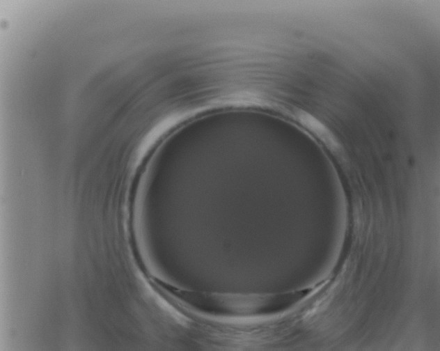 X0000062931334200601202017